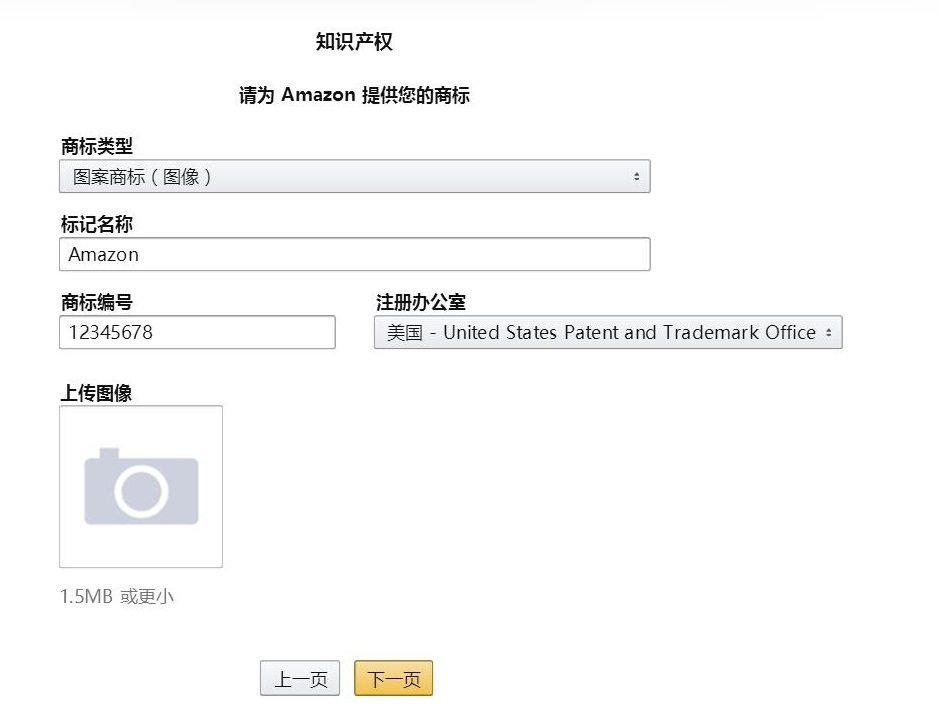 亚马逊品牌备案申请步骤 (4)