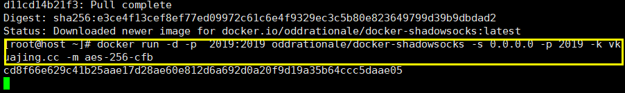 用Docker搭建VPN (6)