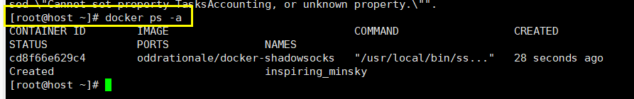 用Docker搭建VPN (7)